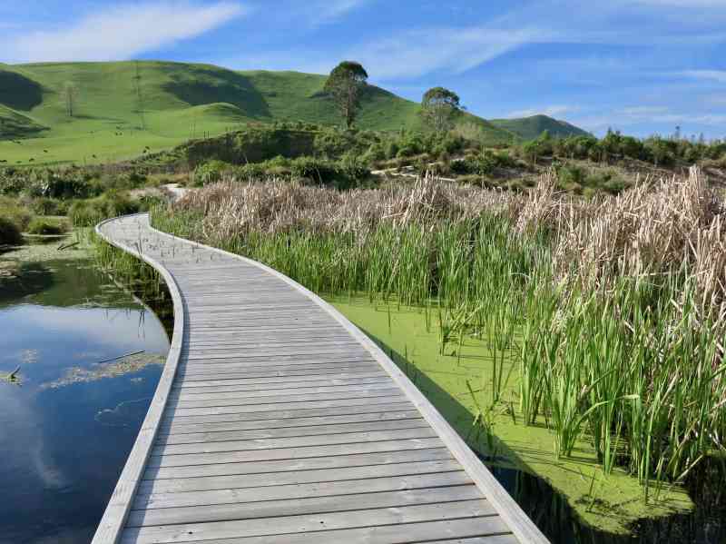 Attempted Emigration to New Zealand