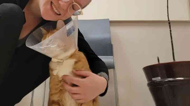 Devon Weitman's Cat Chester