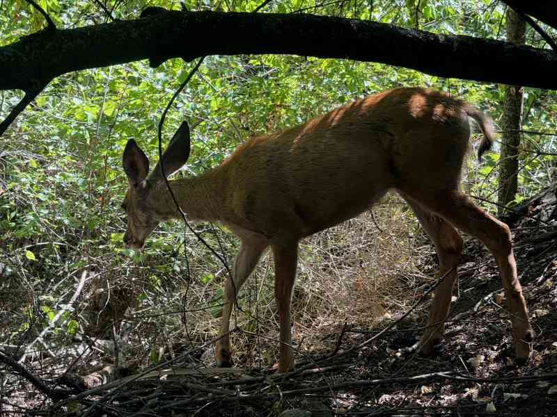 Scavenger Hunt @ Fintry