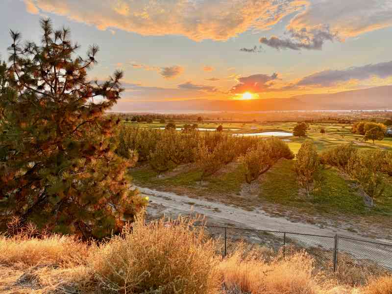 McCulloch Lookout & Salmon Test