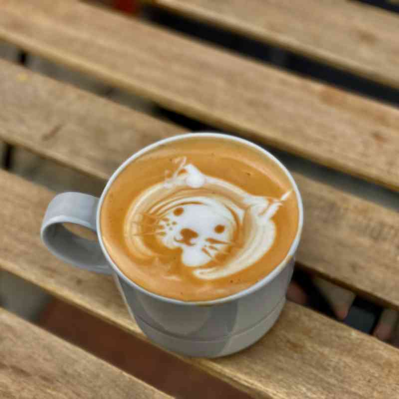 Latte Art & Appleston Park