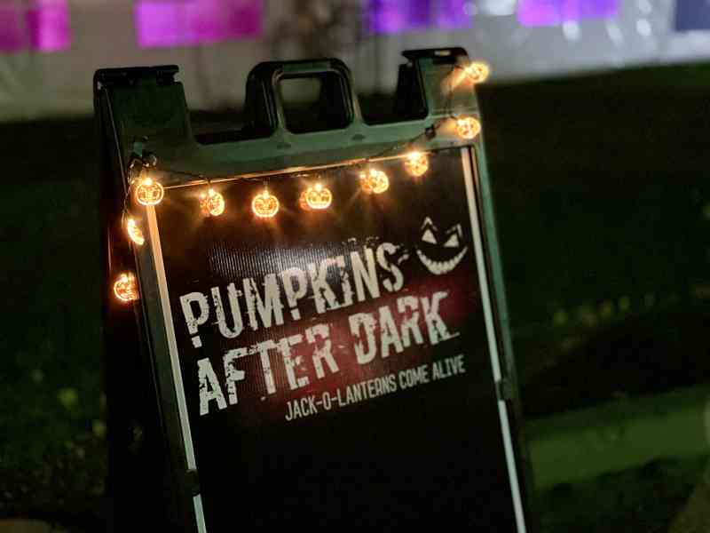 Pumpkins After Dark