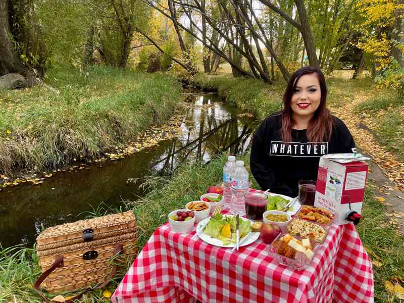 Confederation Park Picnic