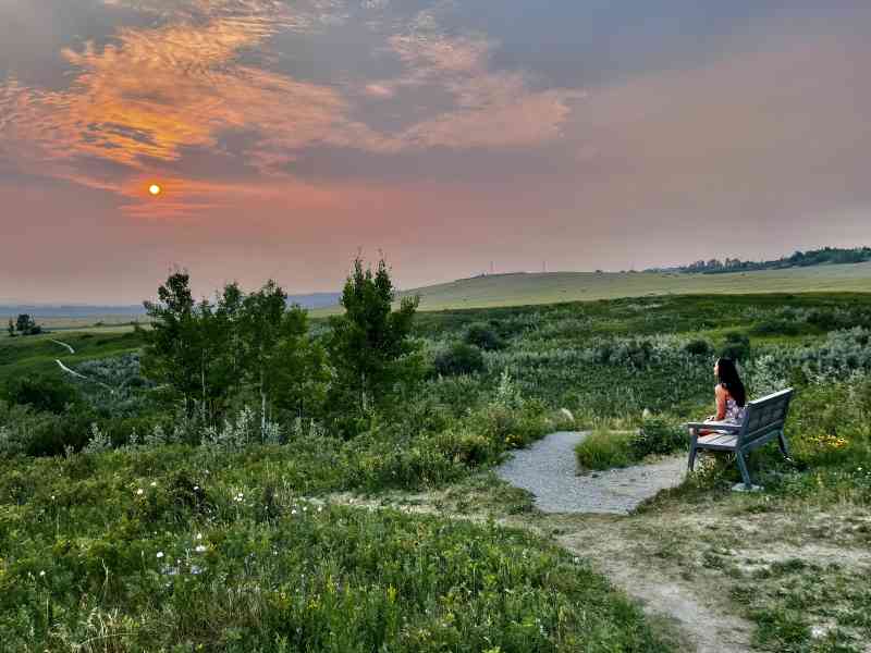 Lasso Trail & Lookout Dinner