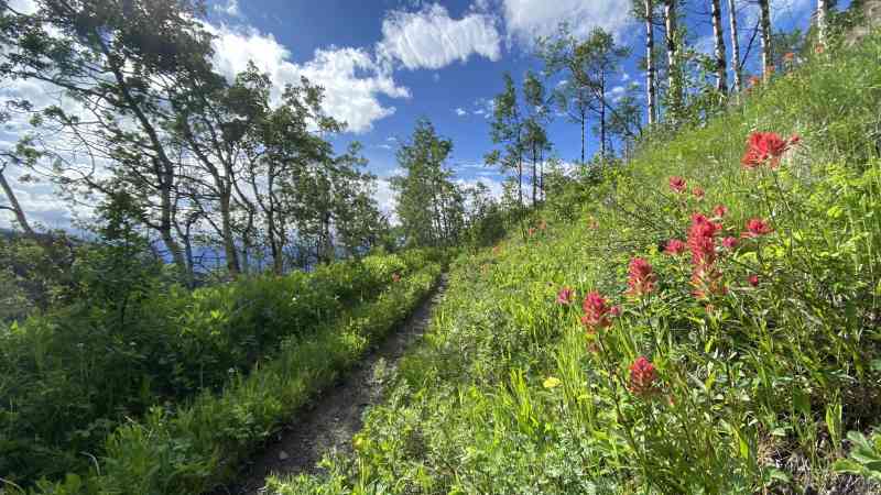 Eagle Ridge & Sibbald