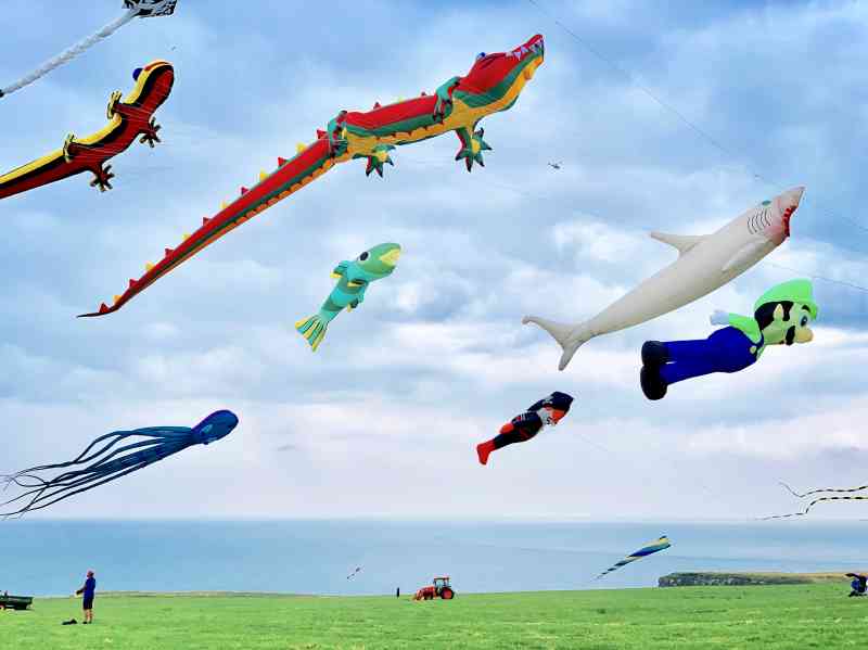 Kite Festival