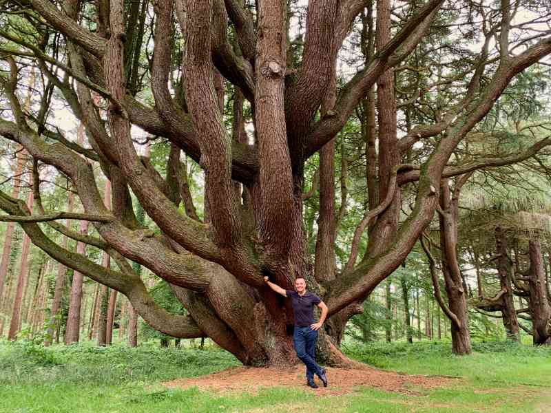 Tollymore Forest Park