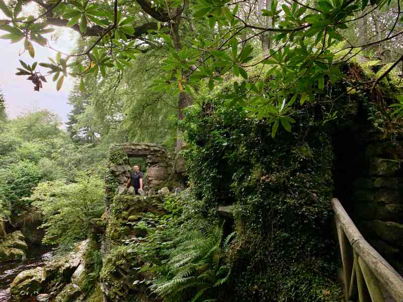 Tollymore Forest Park