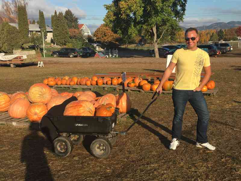 Pumpkin Patch & Carving