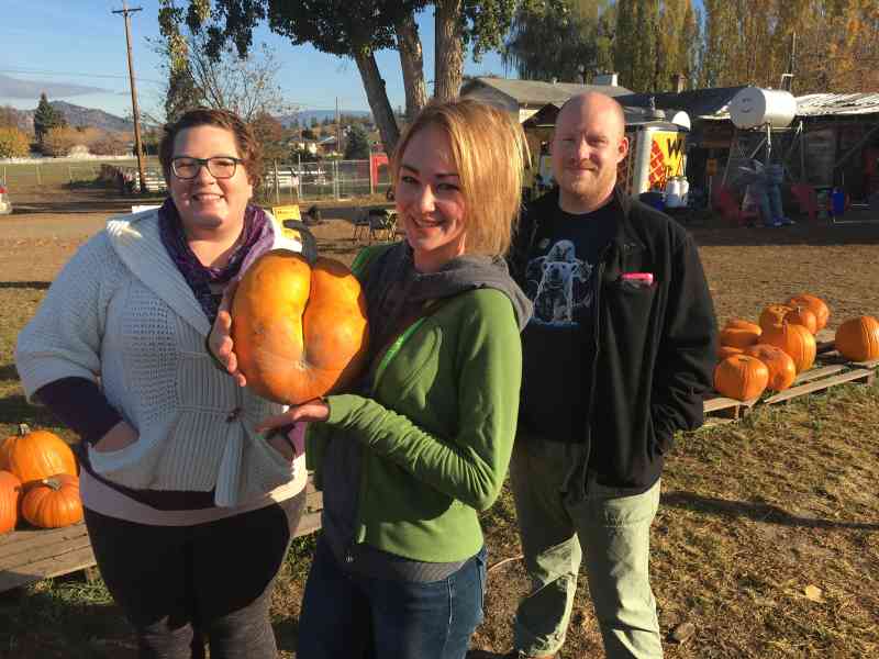 Pumpkin Patch & Carving