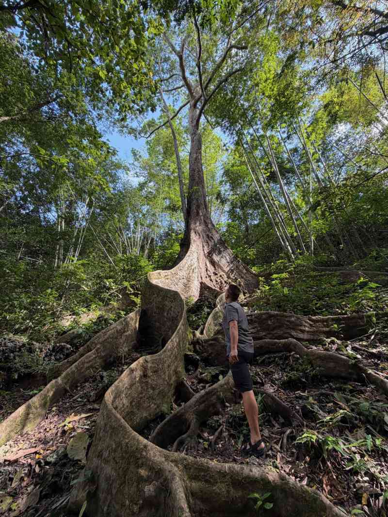 2025-12-02 10.07.10 _ IMG_2460 - Bulabog-Putian Natural Park