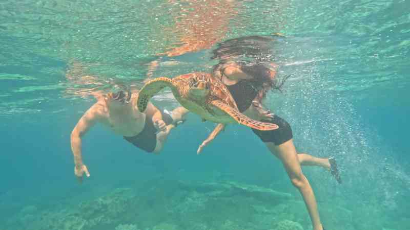 2025-12-09 08.52.25 _ GX010390 - Apo Island Day Tour