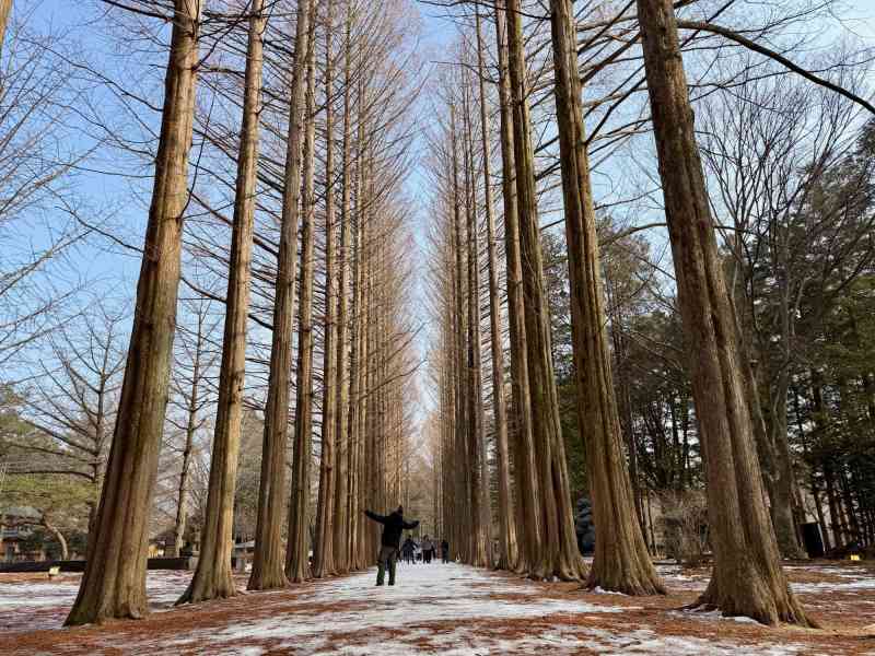 Nami Island