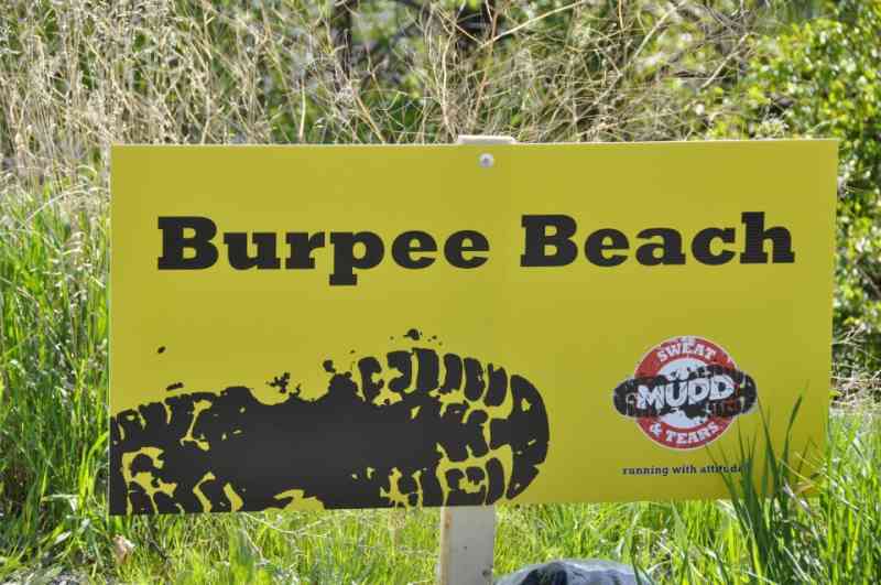 Mudd Sweat and Tears