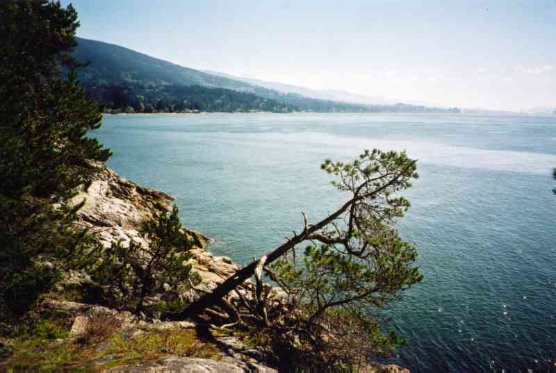 Lighthouse Park