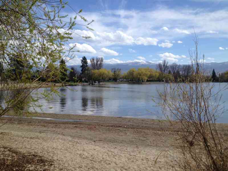 Sibelle Maude-Rox Wetlands Boardwalk