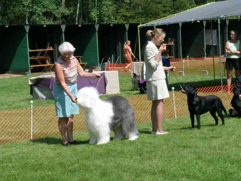 Castlegar Dog Show