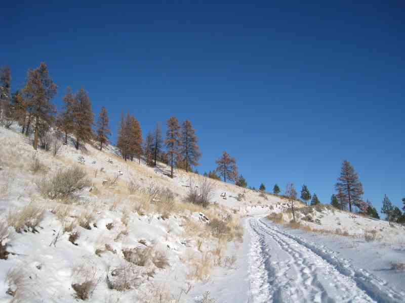 Kenna Cartwright Park