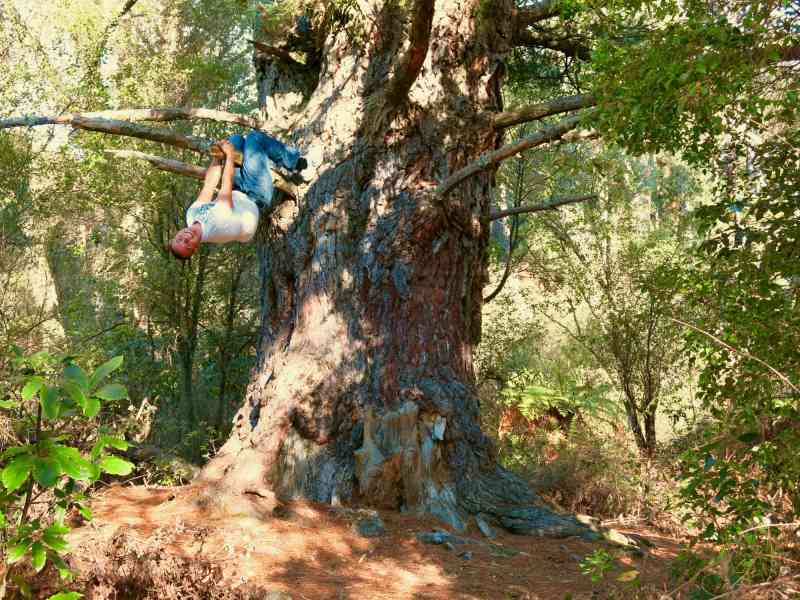 _2013-09-14 31-Huka Falls