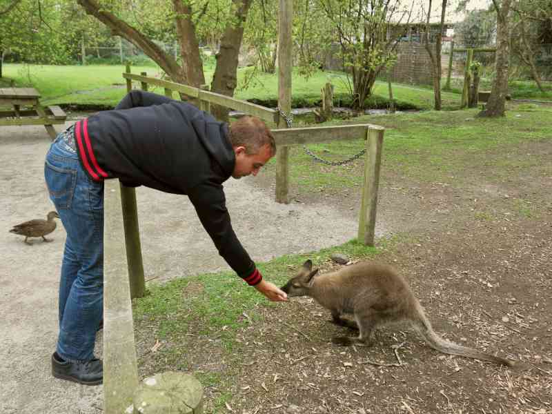 _2013-10-03 09.30-0 - Willowbank Wildlife Reserve, Christchurch