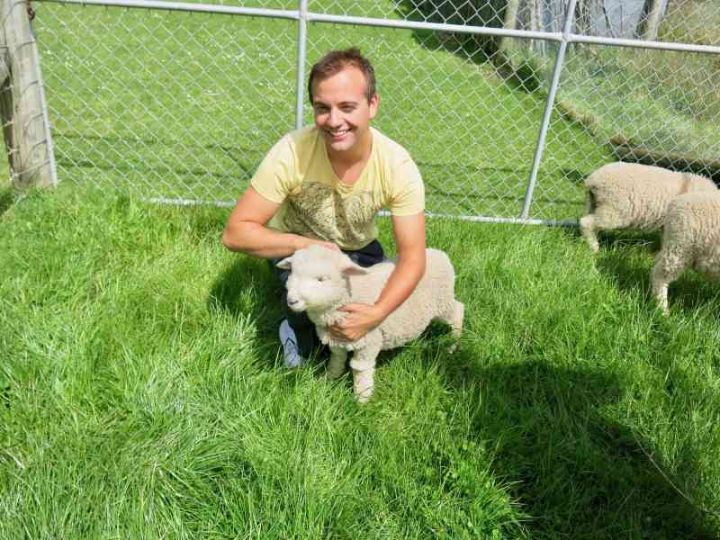 New Zealand - Back in Nelson