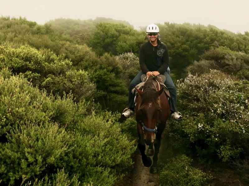 _2013-12-05 11.58-0 - Cape Farewell Horse Trek