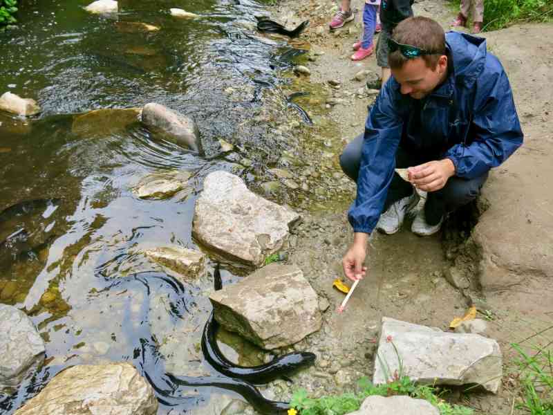 _2013-12-06 12.56-0 - Jester House Tame Eels w:Steve