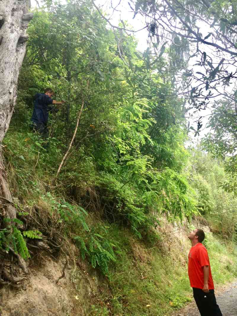 _2013-12-06 18.57-0 - Centre of NZ Hike