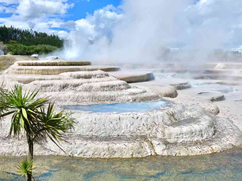 New Zealand - Adventure Begins