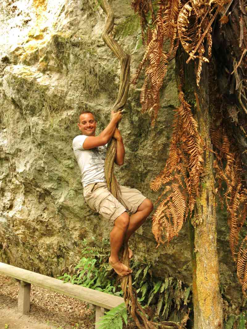 _2014-01-05 10.27-2 - Buried Village of Te Wairoa