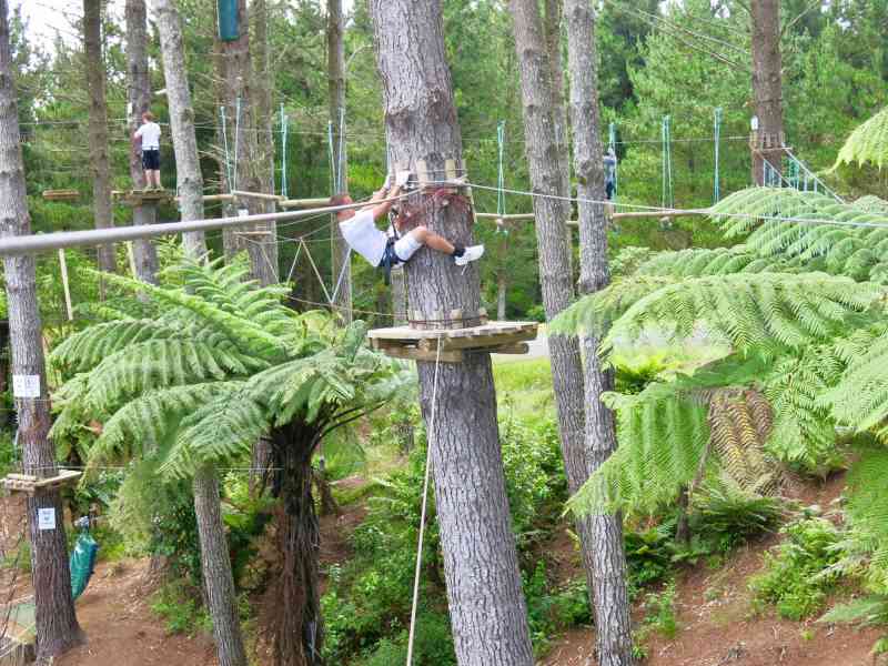 _2014-01-09 11.18-0 - Adrenalin Forest Bay of Plenty