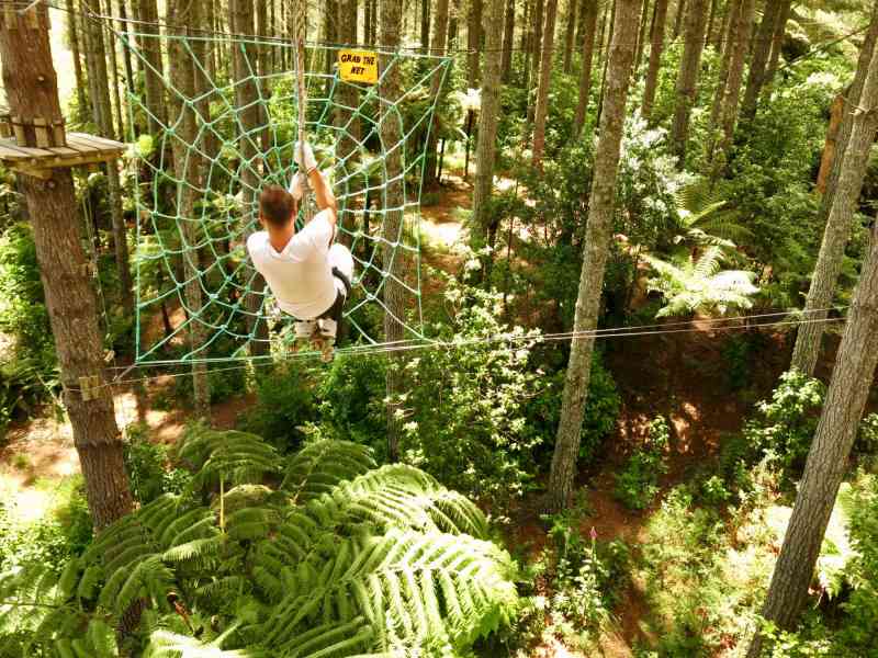 _2014-01-09 11.50-0 - Adrenalin Forest Bay of Plenty