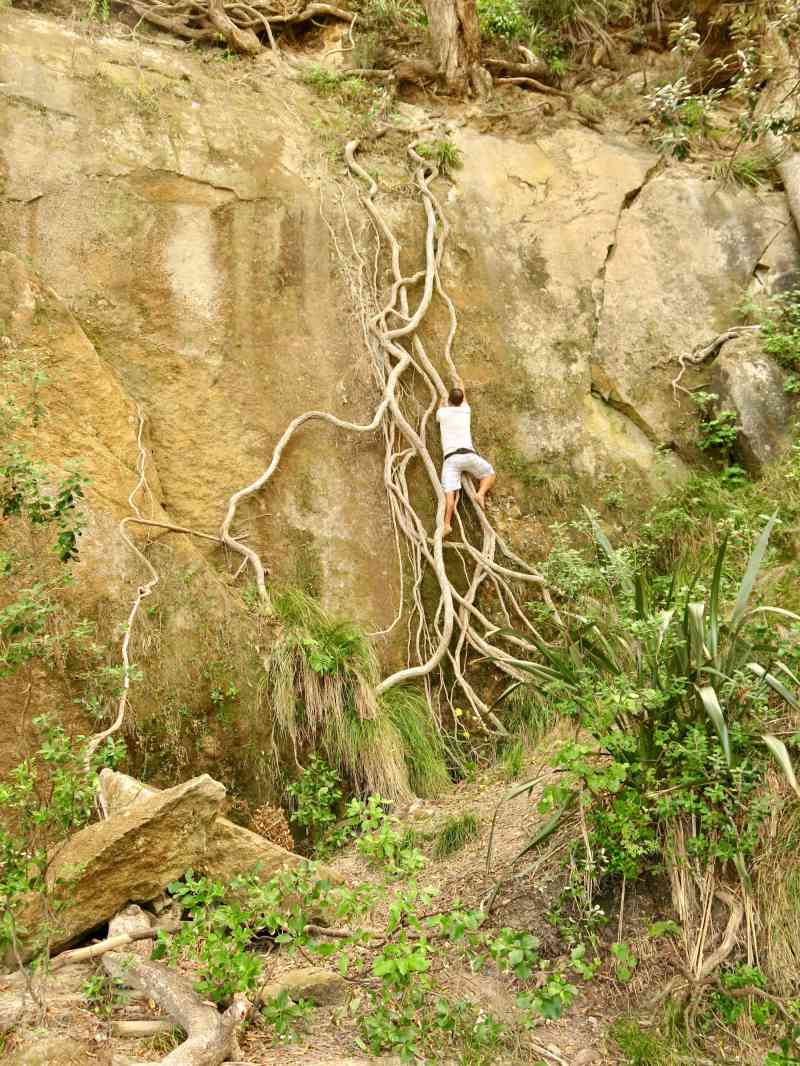 _2014-01-11 16.45-0 - Cathedral Cove