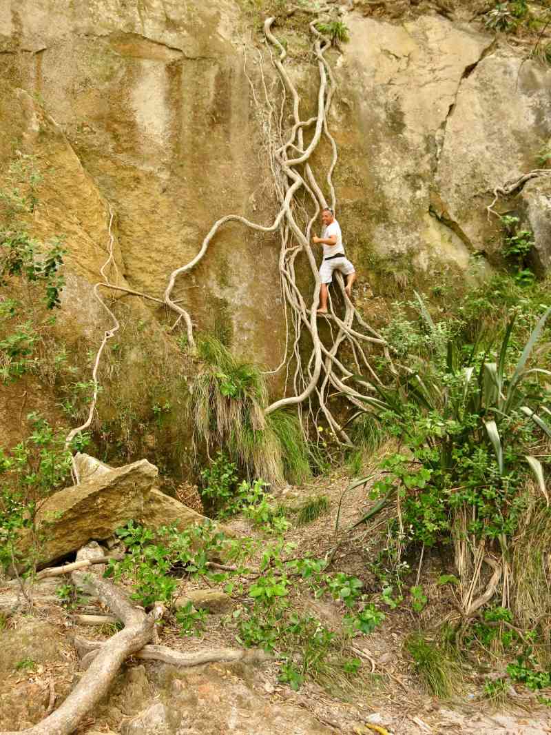 _2014-01-11 16.46-0 - Cathedral Cove