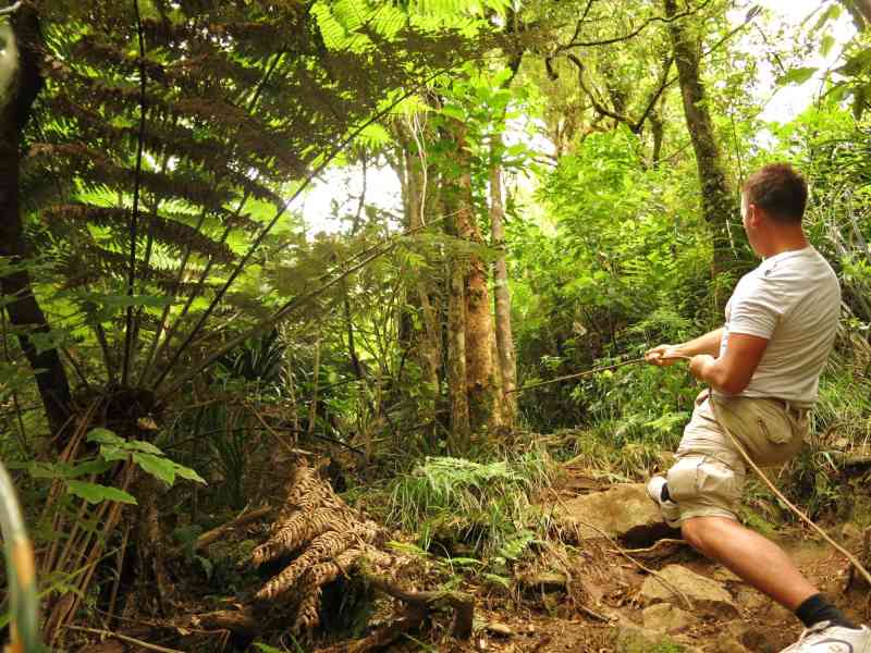 _2014-01-12 09.40-0 - 309 Castle Rock