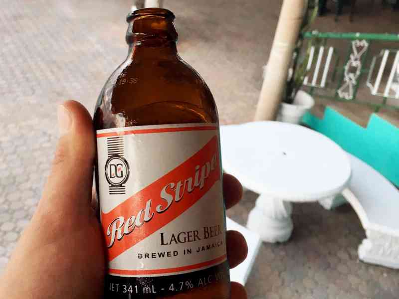 0021 - LUMINESCENT LAGOON, FALMOUTH