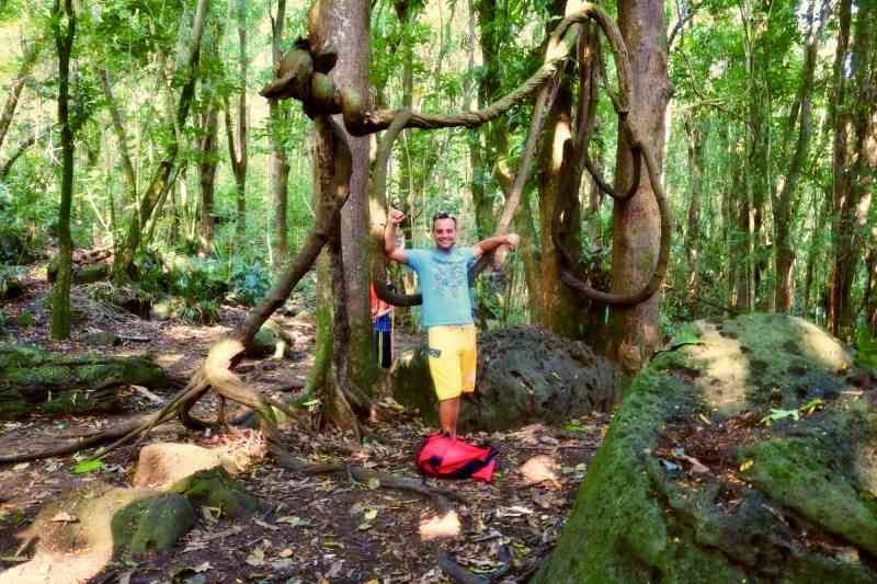 KAYKING WAILUA RIVER