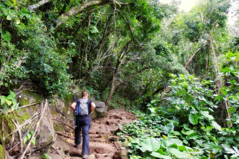 HANAKAPIAI FALLS TRAIL VIA KALALAU TRAIL