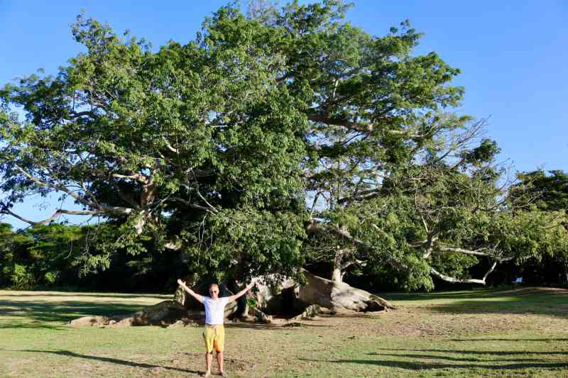 VIEQUES MOSQUITO BAY BIOLUMINESCENT TOUR