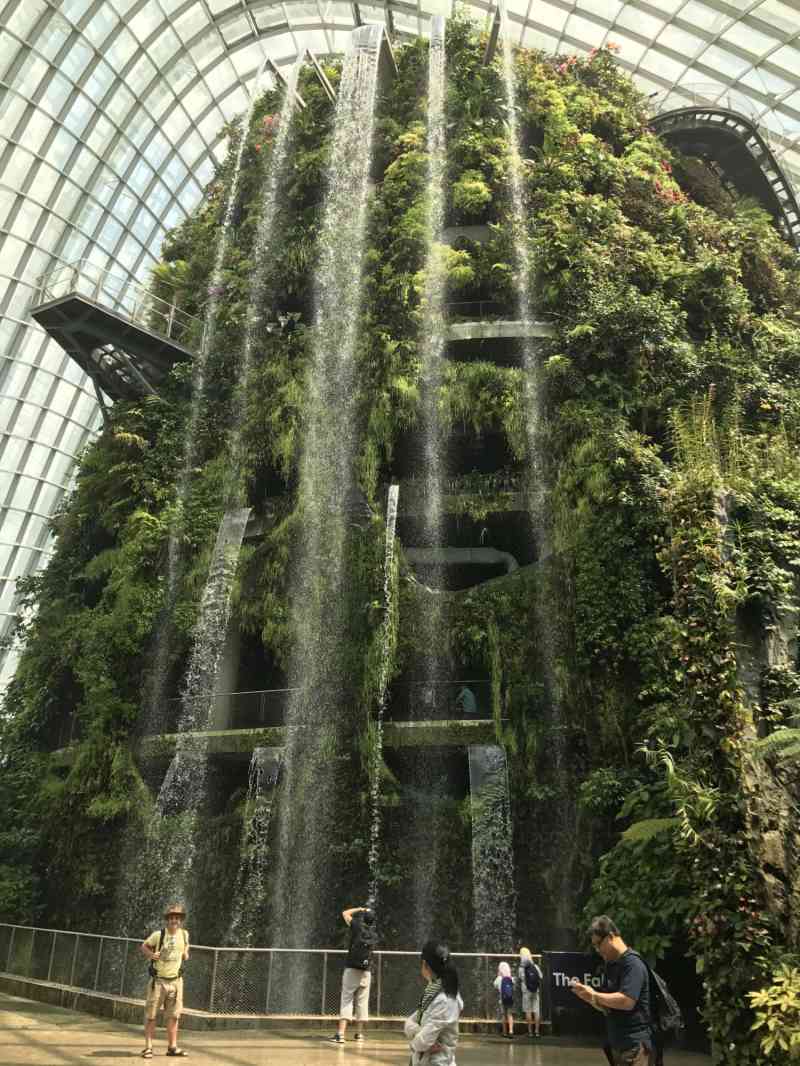 Cloud Forest