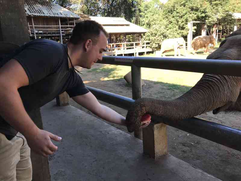 00347 - Elephant Nature Park