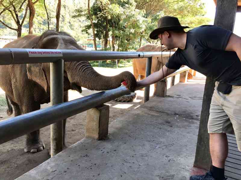 00349 - Elephant Nature Park