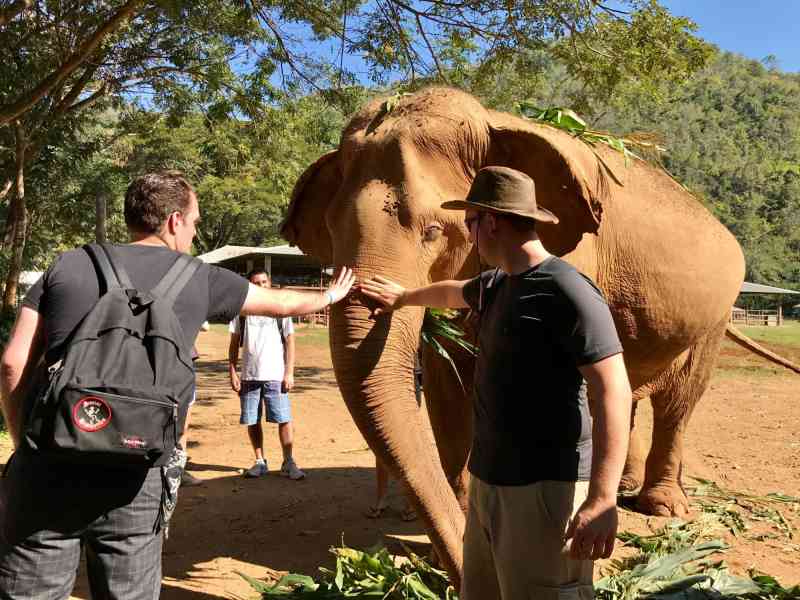 00355 - Elephant Nature Park