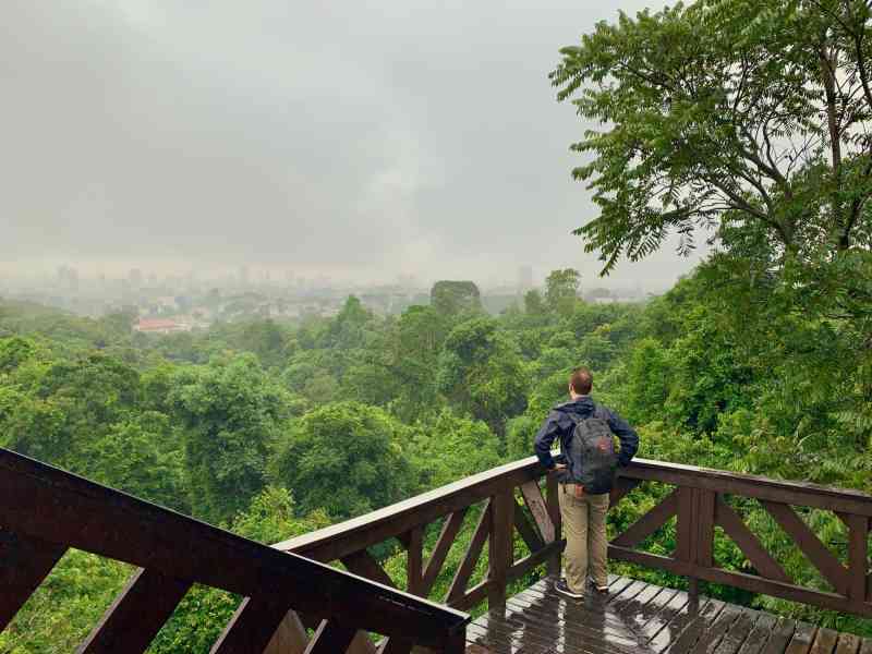 Bosque Alem&atilde;o, Curitiba