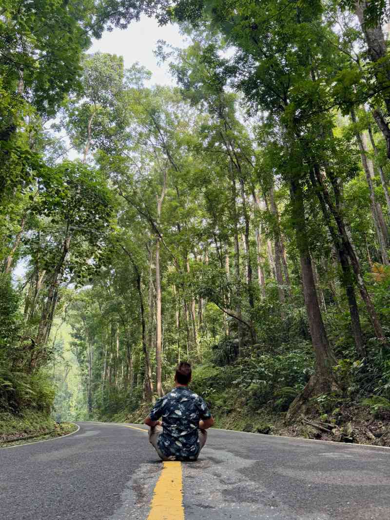 Bilar Man-Made Forest