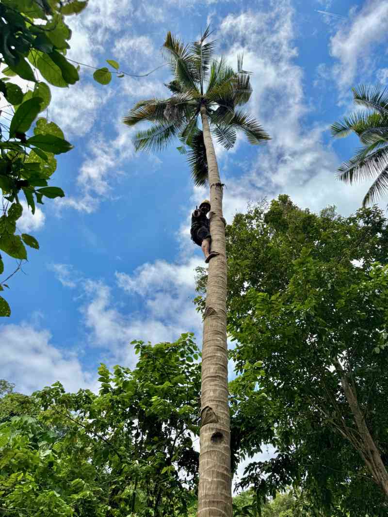 The Philippine Experience