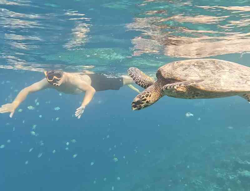 Gili Islands-Screenshot