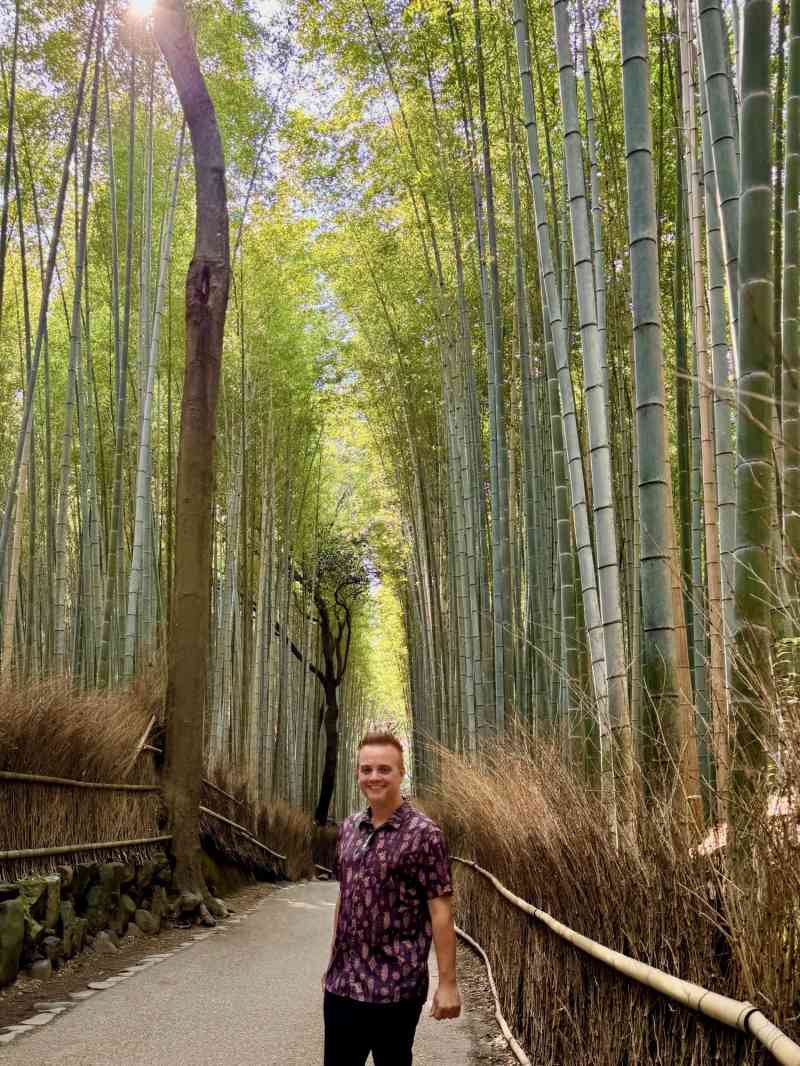 Bamboo Forest