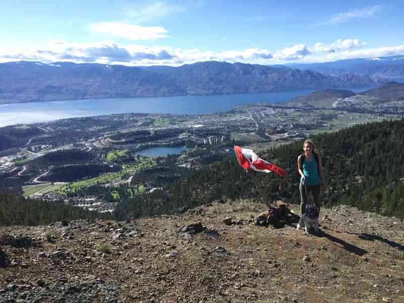 Carrot Mountain: Exterior Loop