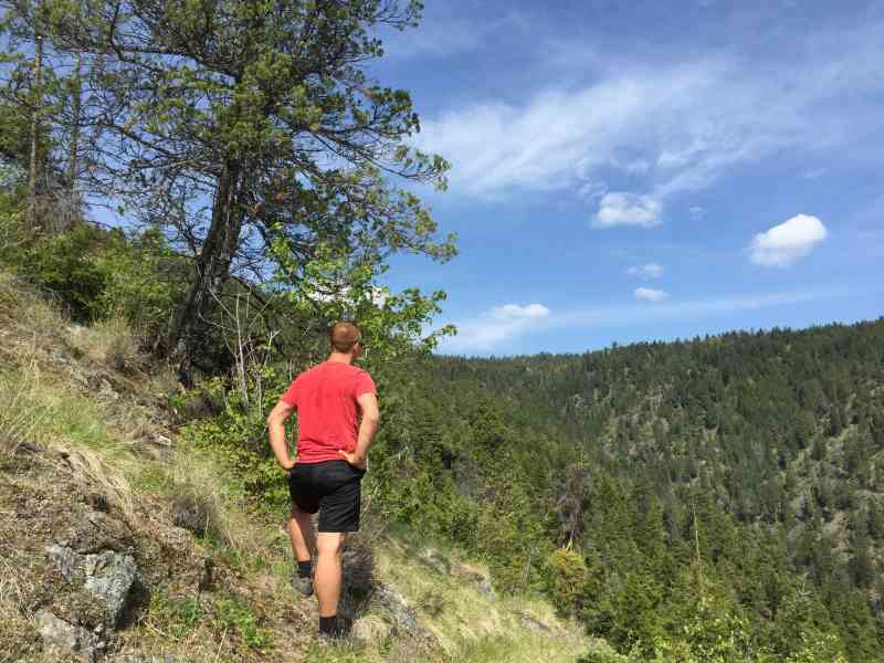 Carrot Mountain: Exterior Loop